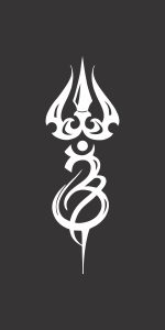 INSBPN037
